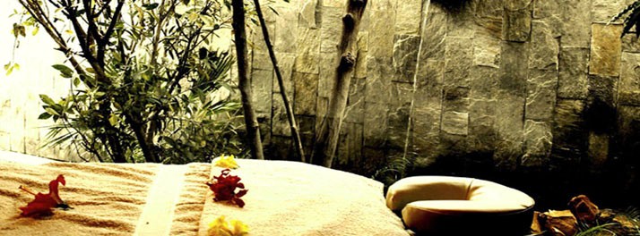 728/The Tree House & Water House Resort - Jaipur 13.jpg